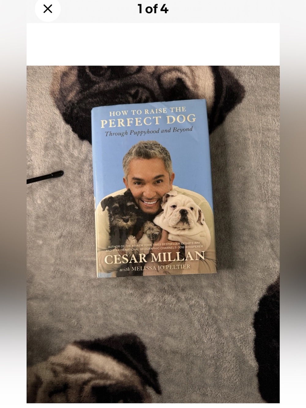 "How to Raise the Perfect Dog" - Cesar Milan
